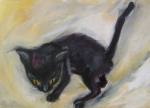 Little Black Cat2