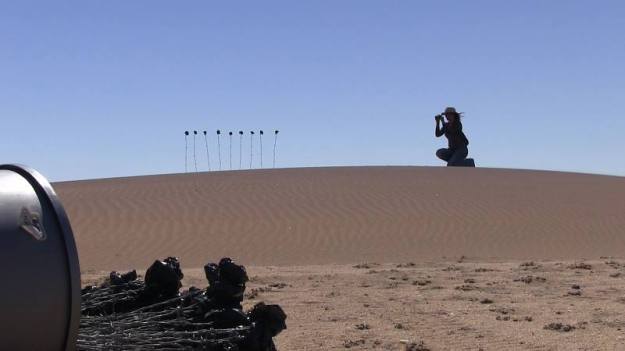 Planting black 'roses' in the Namib Desert