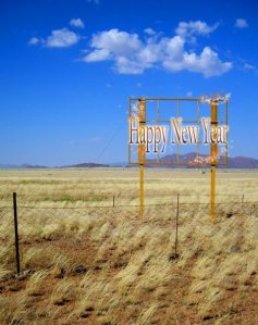 Happy New Year Namib © Imke Rust