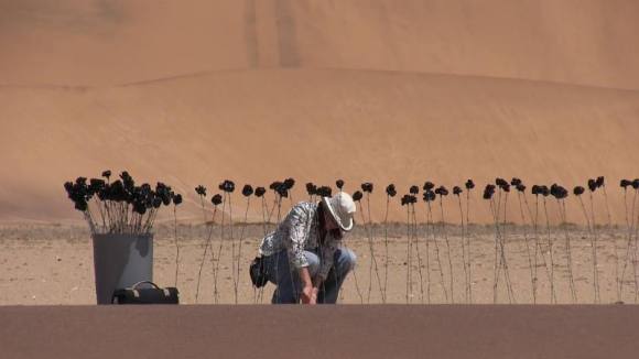 Me busy installing the 99 black roses (made out of barbed wire and rubbish bags) in the Namib desert for a temporary site-specific installation.