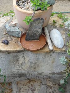 First raindrops on the new rainmaker (7 Feb)