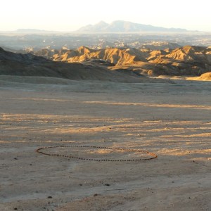 Dung Ball Circle 2012