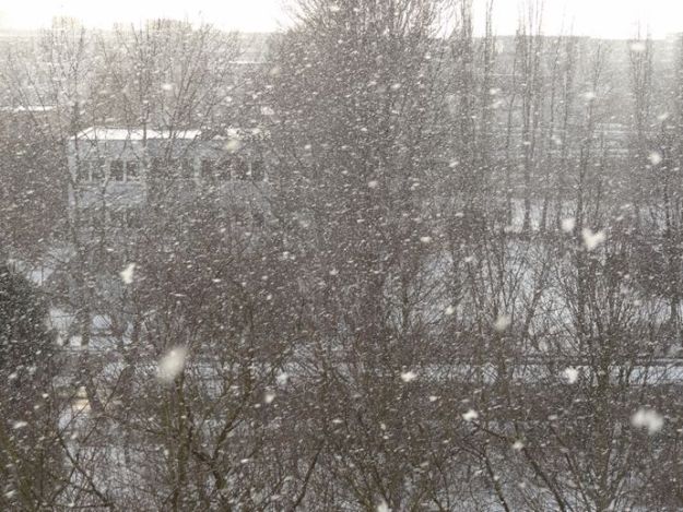 View from my studio - it is snowing...