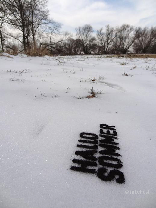 Hallo Sommer (Dark soil on snow) © Imke Rust