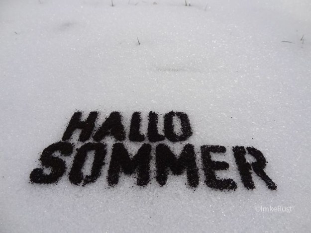 Hallo Sommer (Dark soil on snow) © Imke Rust
