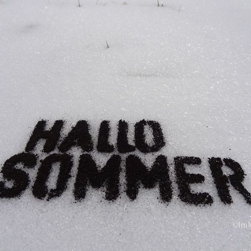 Hallo Sommer (Dark soil on snow) © Imke Rust