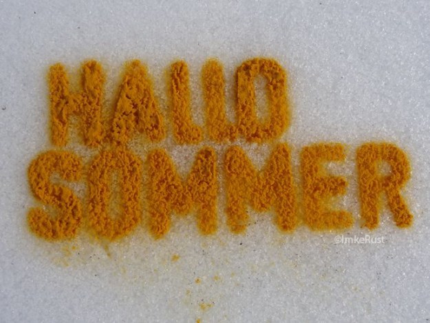 Hallo Sommer (Curcuma on snow) © Imke Rust