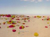 Toxic Black Rocks Hand-coloured photo of the Namib Desert Photo, Acrylic 15 x 20cm