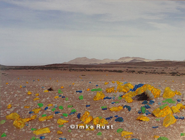 Chemical Reaction Hand-coloured photo of the Namib Desert Photo, Acrylic 15 x 20cm