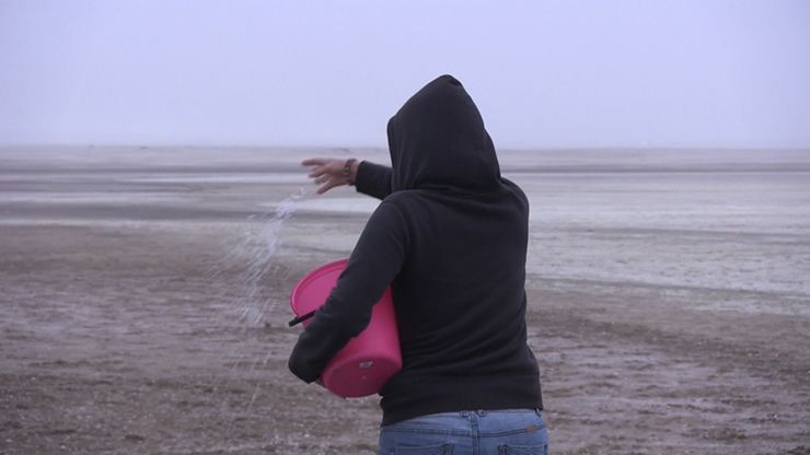 Sowing Salt (Art Video / Performance )