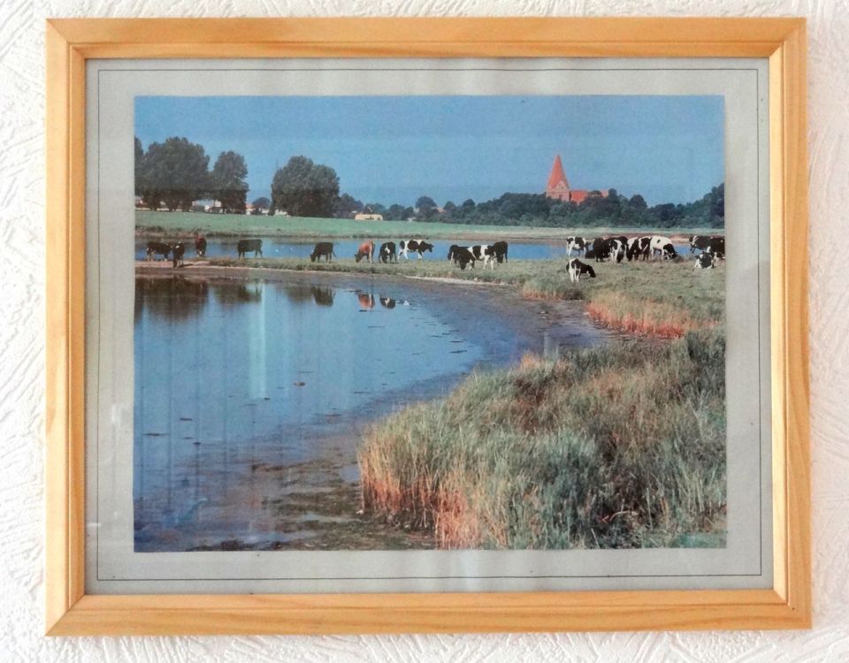 Found calendar photo or the BEFORE pic