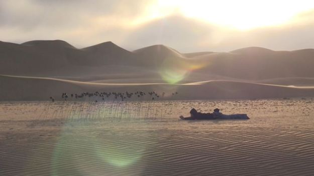 Documenting SubRosa IRust (c)  