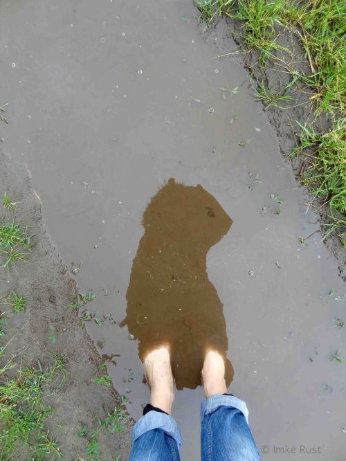 Zwiegespräch mit einem Bieber (Dialog with a Beaver)