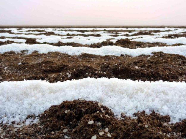 Another close-up view