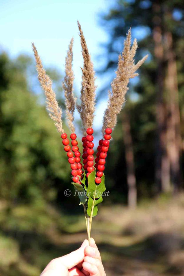 LindenbergRedBerries