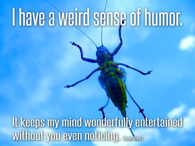 I have a weird sense of humor. It keeps my mind wonderfully entertained without you even noticing. (Imke Rust)