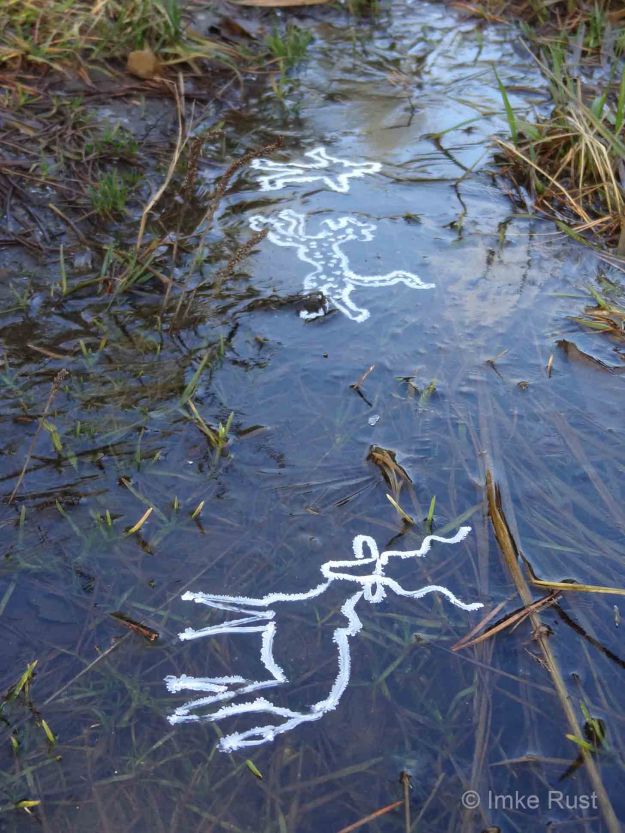 Last view of the scene with the leopard chasing the man into the distance