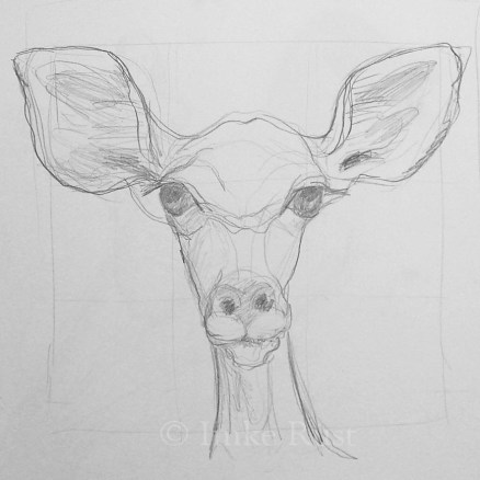 Preparation Sketch for the kudu painting