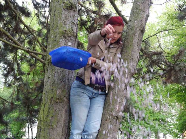 Being the cherry blossom fairy sprinkler
