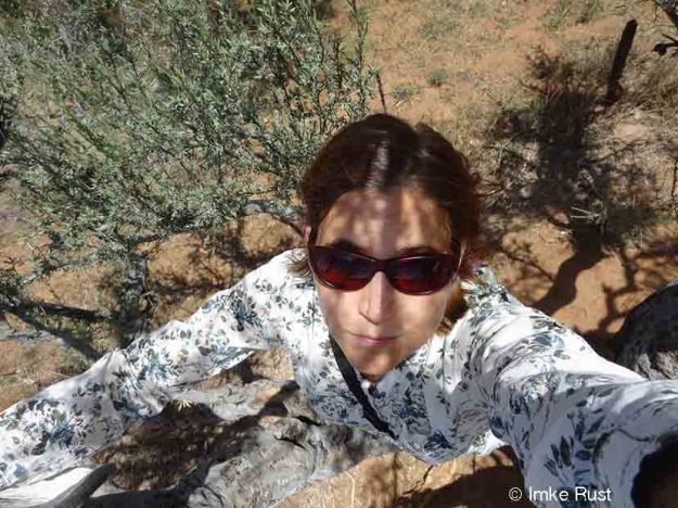 On my favourite tree - in awe how they survive through so much dryness and still have grey-green leaves.