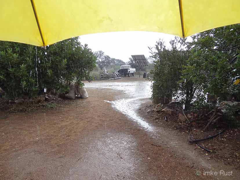 Finally it is raining