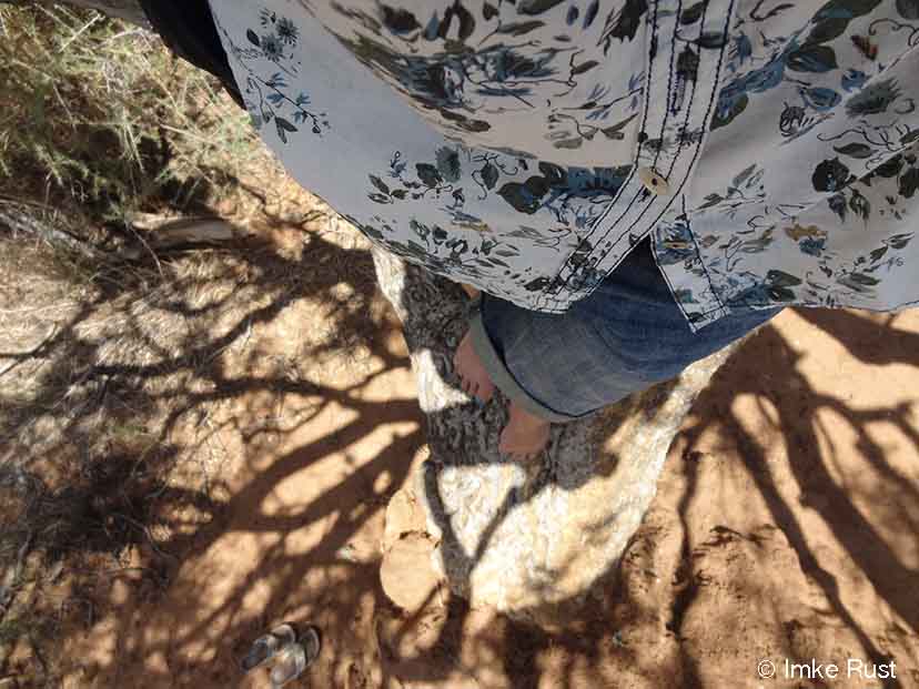 Caressing and climbing a tree.