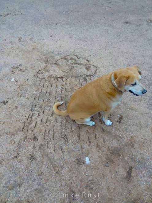 The dog loves sitting in the rain! Drawing a rain cloud with a stick onto the ground at our farm home © Imke Rust