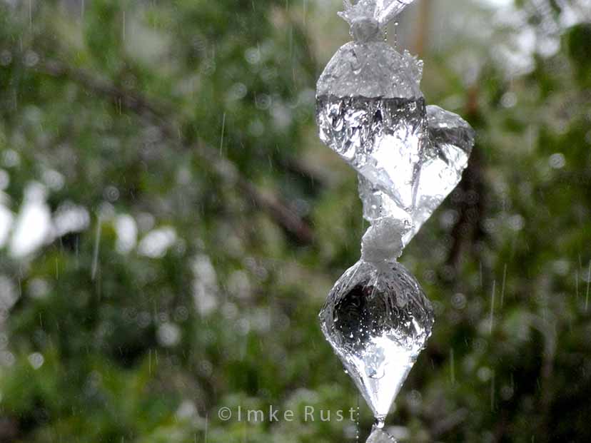 Real rain and make-believe raindrops... © Imke Rust