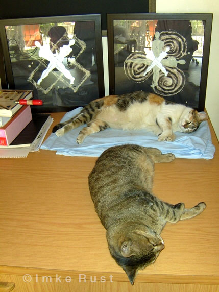 Clarissa and her buddy Willi (who has passed away) almost perfectly imitating the male-female crosses of my artworks.