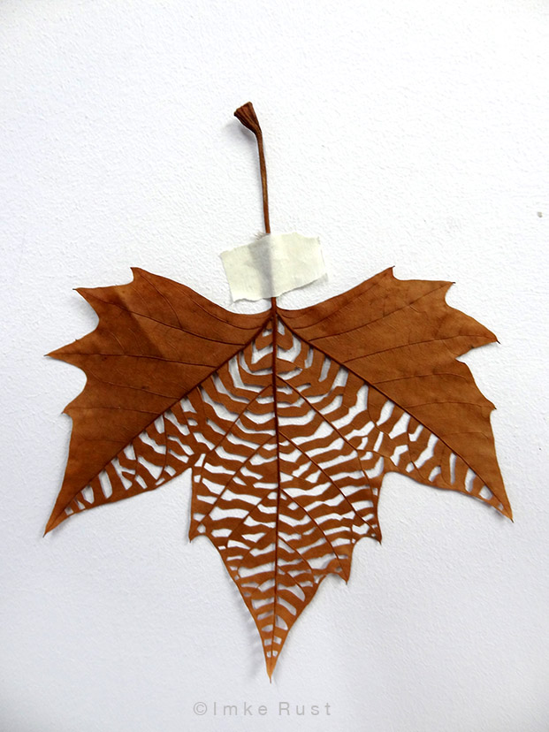 Maple leaf cut-out #3