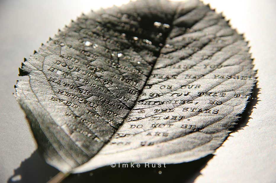 Cherry Leaf Poem (Typed with typewriter)