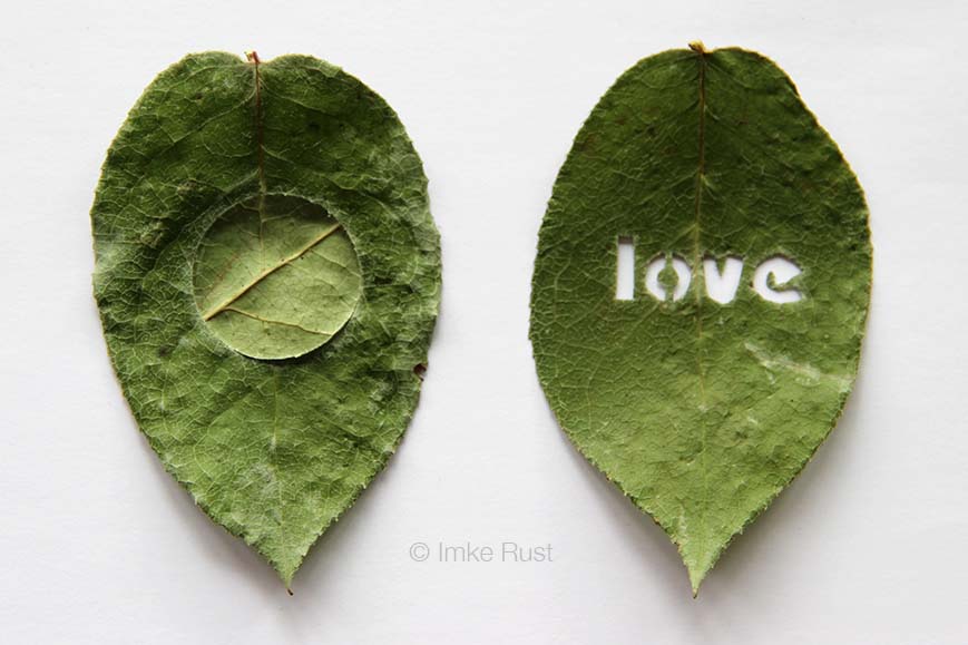 Rose Leaves Cut-Out (Circle and Love)
