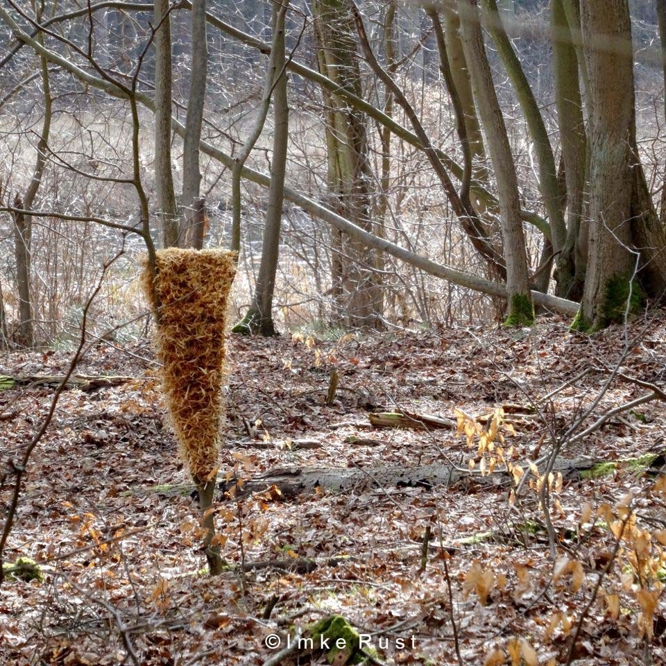 Untitled nature art by © Imke Rust