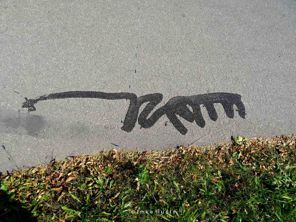 Ancient Animal Petrograph photographed by Imke Rust