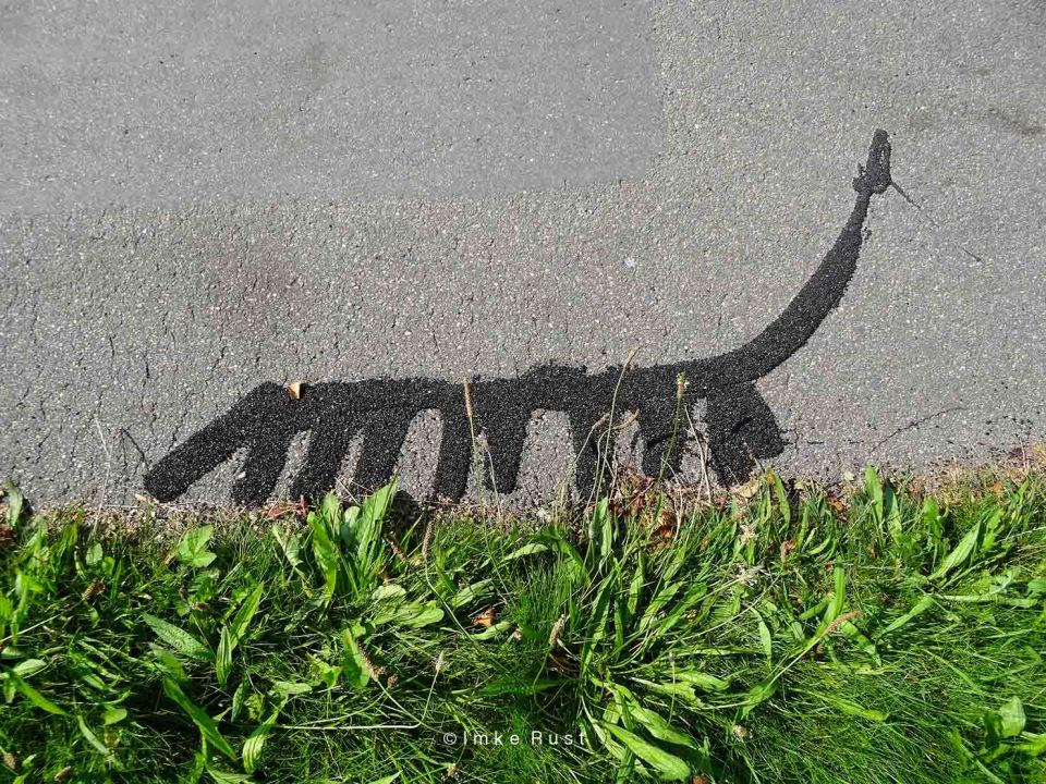 Ancient Animal Petrograph photographed by Imke Rust