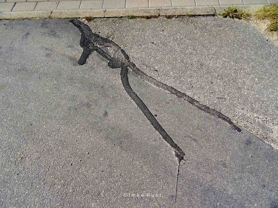 Ancient Human Petrograph photographed by Imke Rust