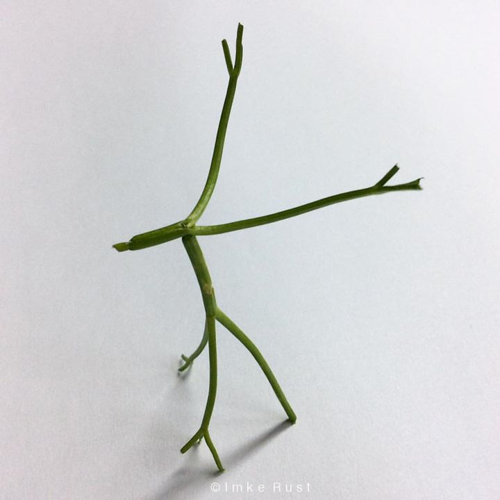 Elk / Elch Parsely stems