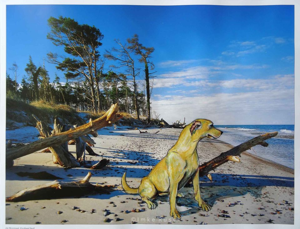 Final Image: Dog on the Beach. (Hotel Deco Busting by Imke Rust)