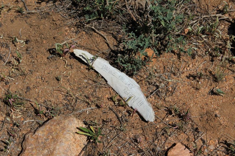 A little thank you note for the rain and water spirits...