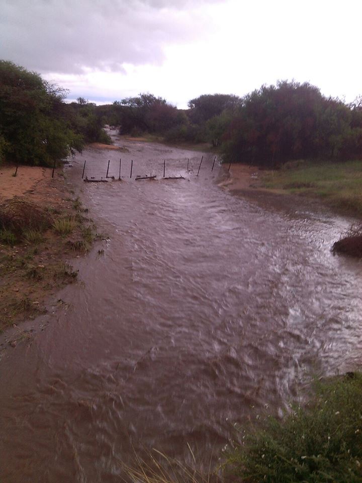 Rain on the farm and flowing rivers - Photo kindly supplied by Amanda Koekemoer