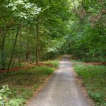 IFloating Energy by Imke Rust © (Detail)MG_20180802_200329_710