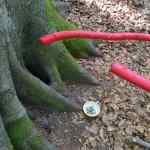 Water offering at the beginning&nbsp;point